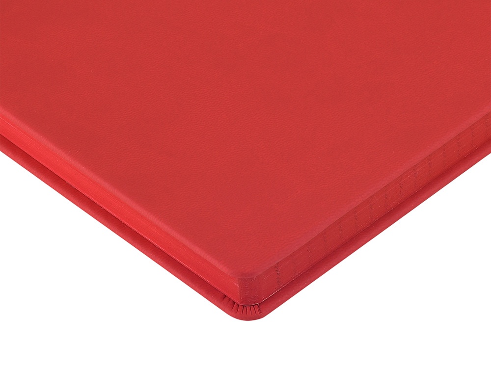 Ежедневник недатированный А6 Megapolis Color