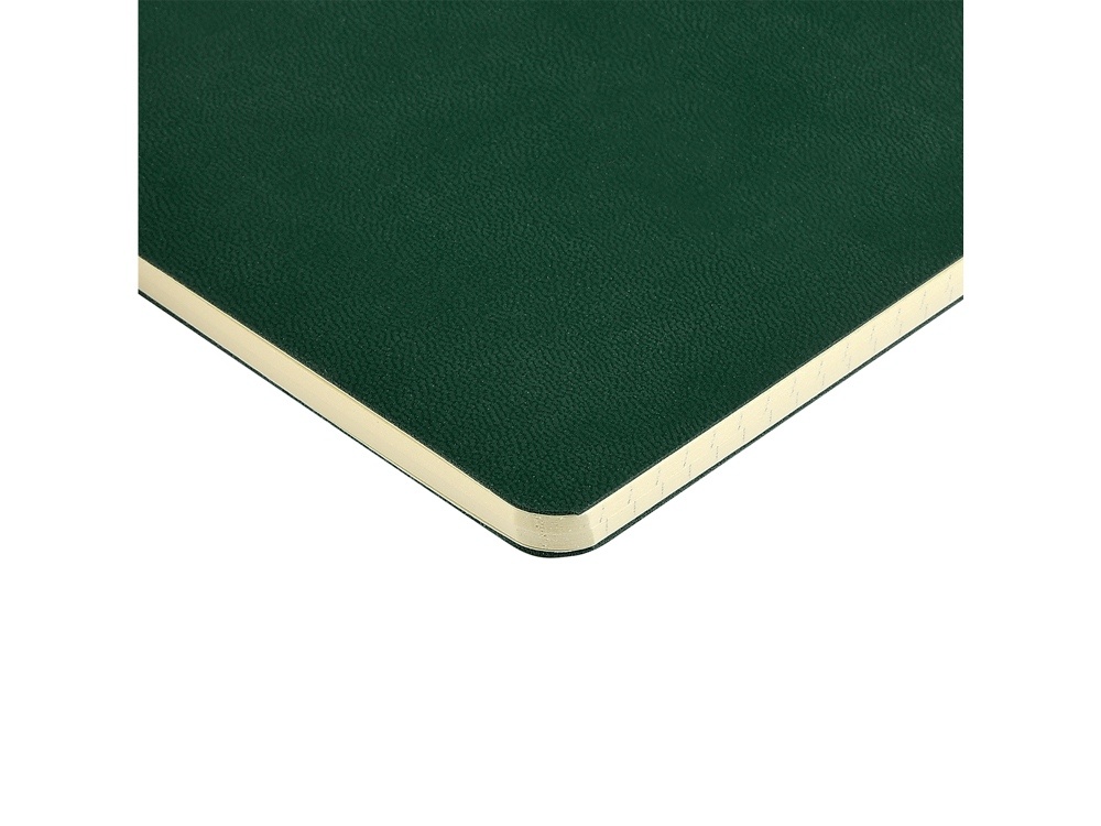 Бизнес тетрадь А5 Megapolis Velvet flex