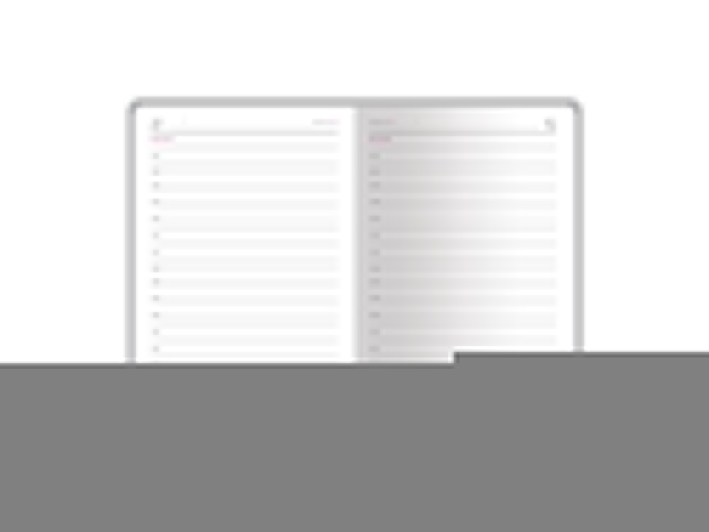 Ежедневник недатированный А5 Magnum