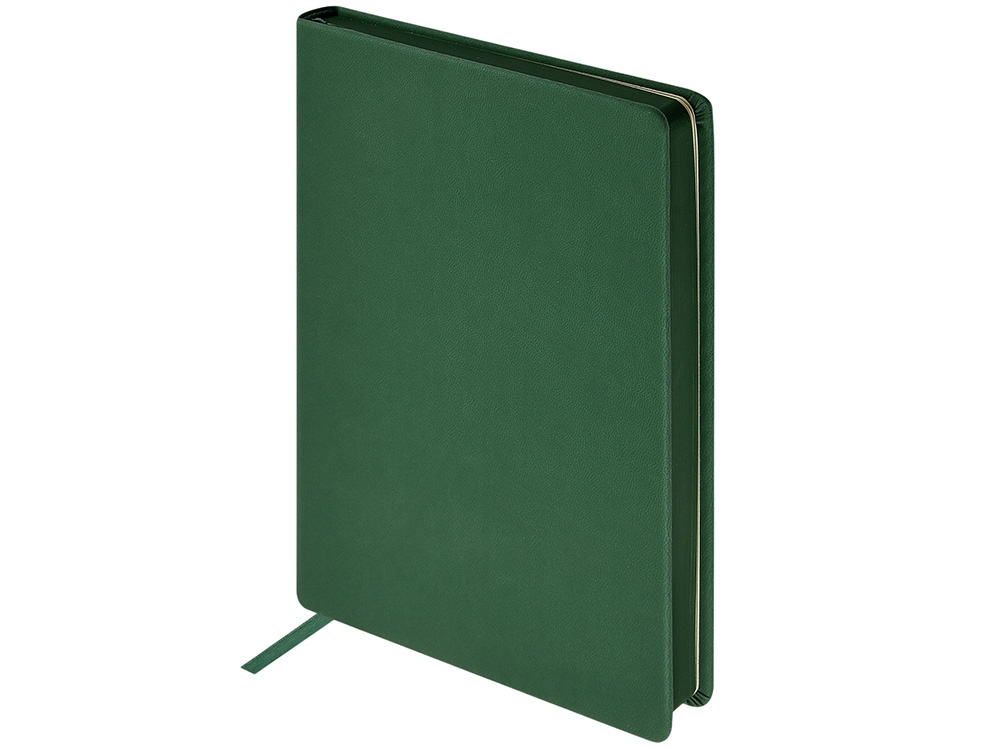 Ежедневник недатированный А6 Megapolis Color