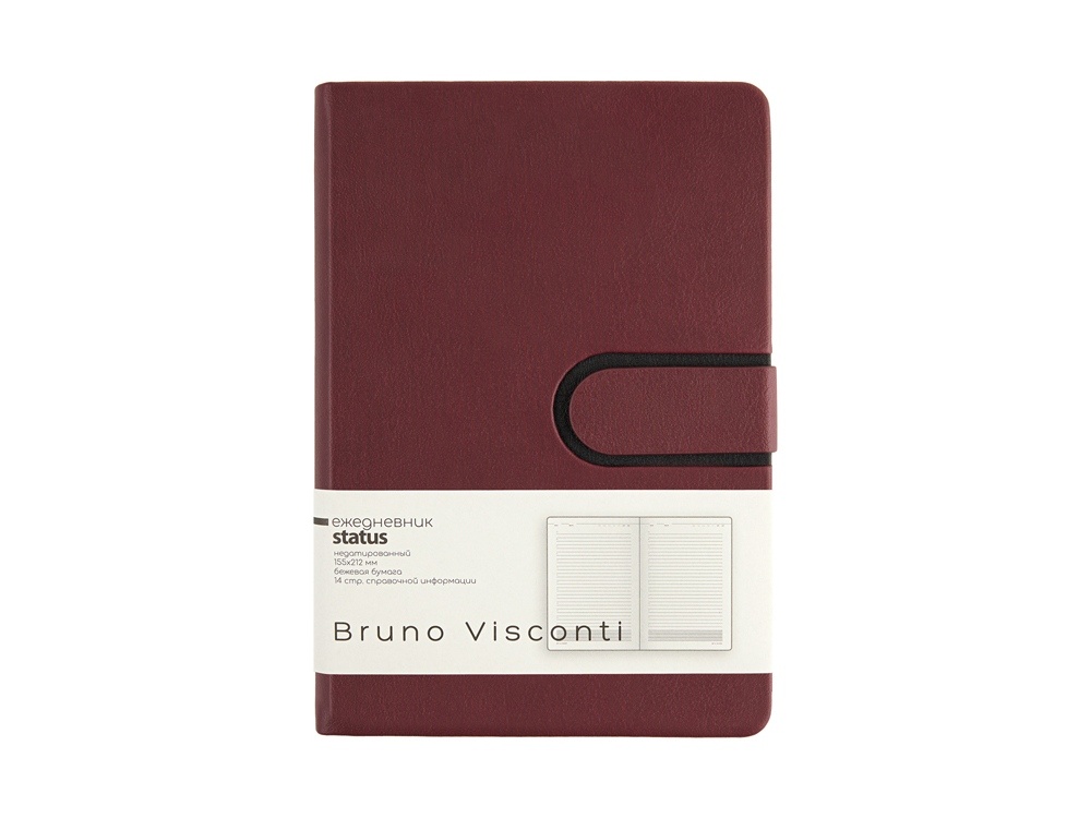 Ежедневник недатированный А5 Status