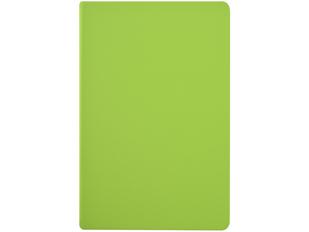 Ежедневник недатированный А6 Megapolis Color