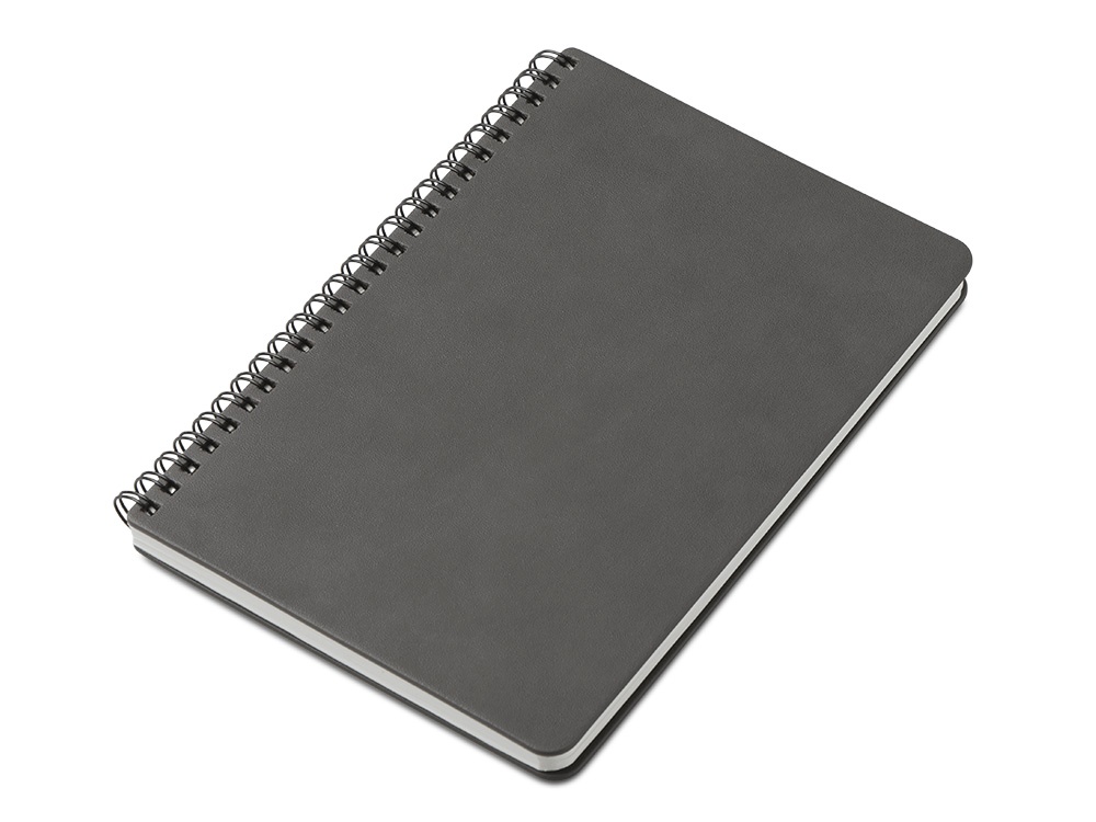 Блокнот А5 Дантэ