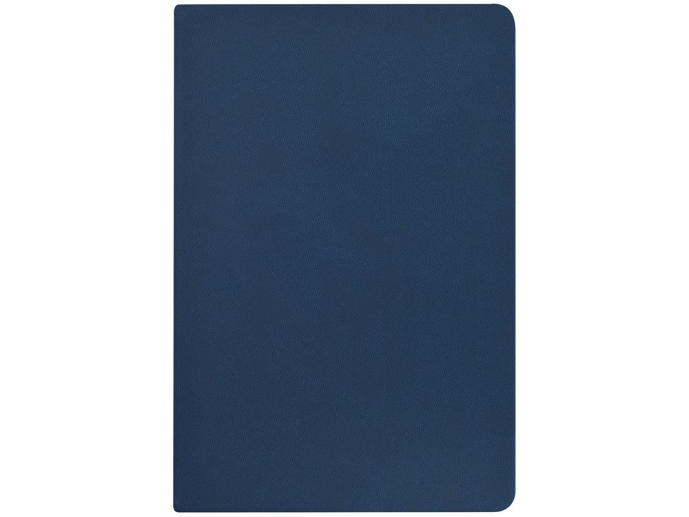 Ежедневник недатированный А6 Megapolis Color