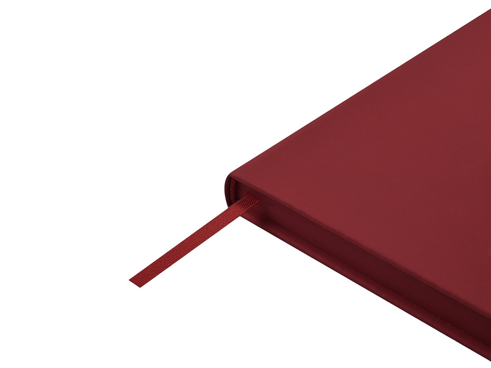 Ежедневник недатированный А6 Megapolis Color