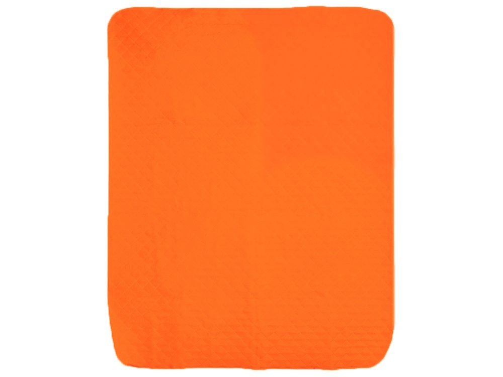 Плед для пикника Ridge 115 х 140 см