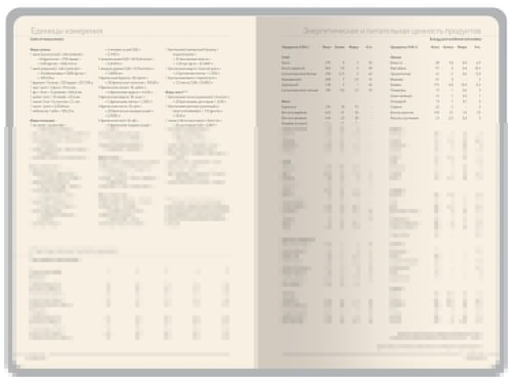 Ежедневник недатированный А6 Megapolis Color