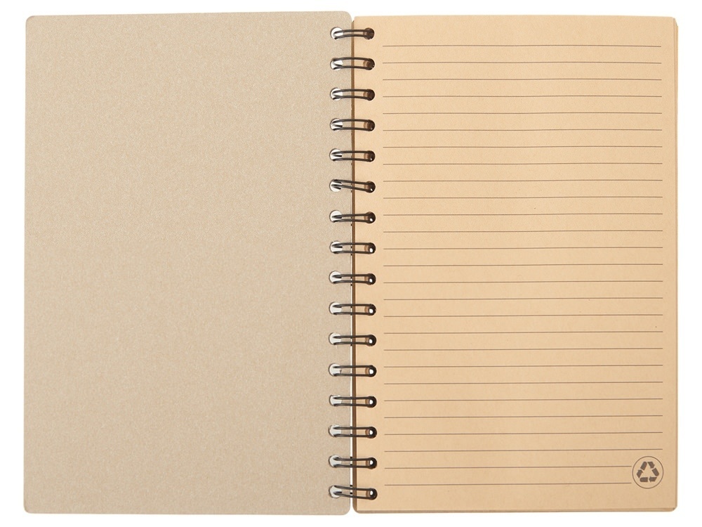 Блокнот А5 на спирали Mania