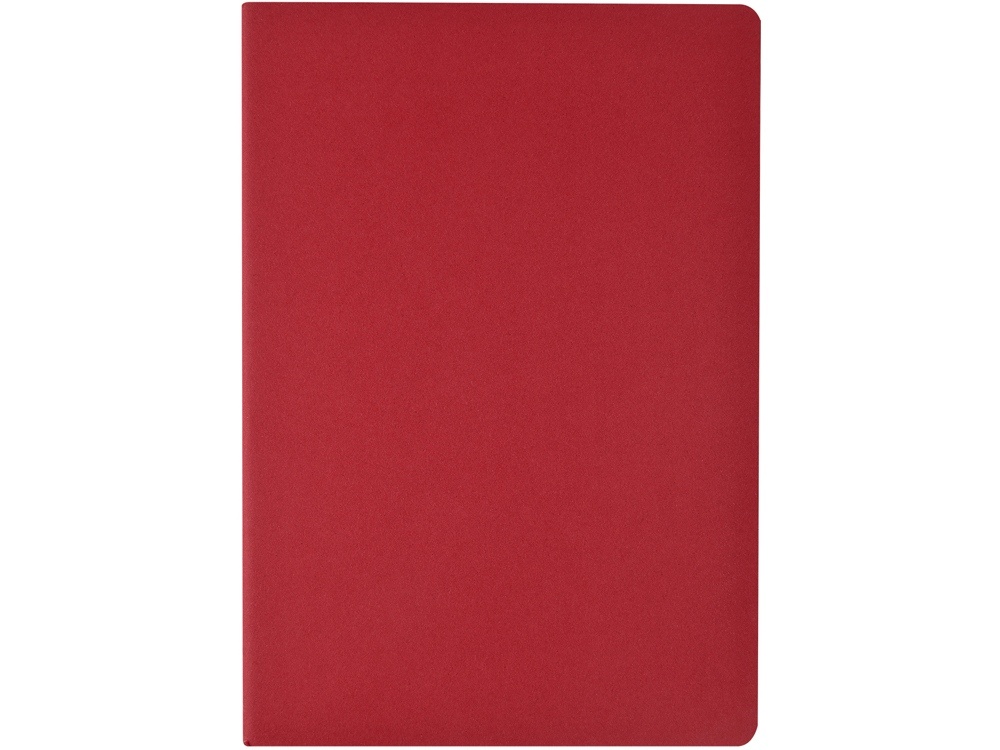 Бизнес тетрадь А5 Pragmatic