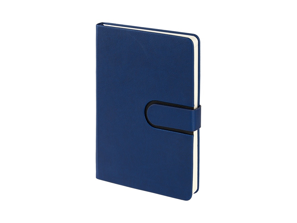 Ежедневник недатированный А5 Status