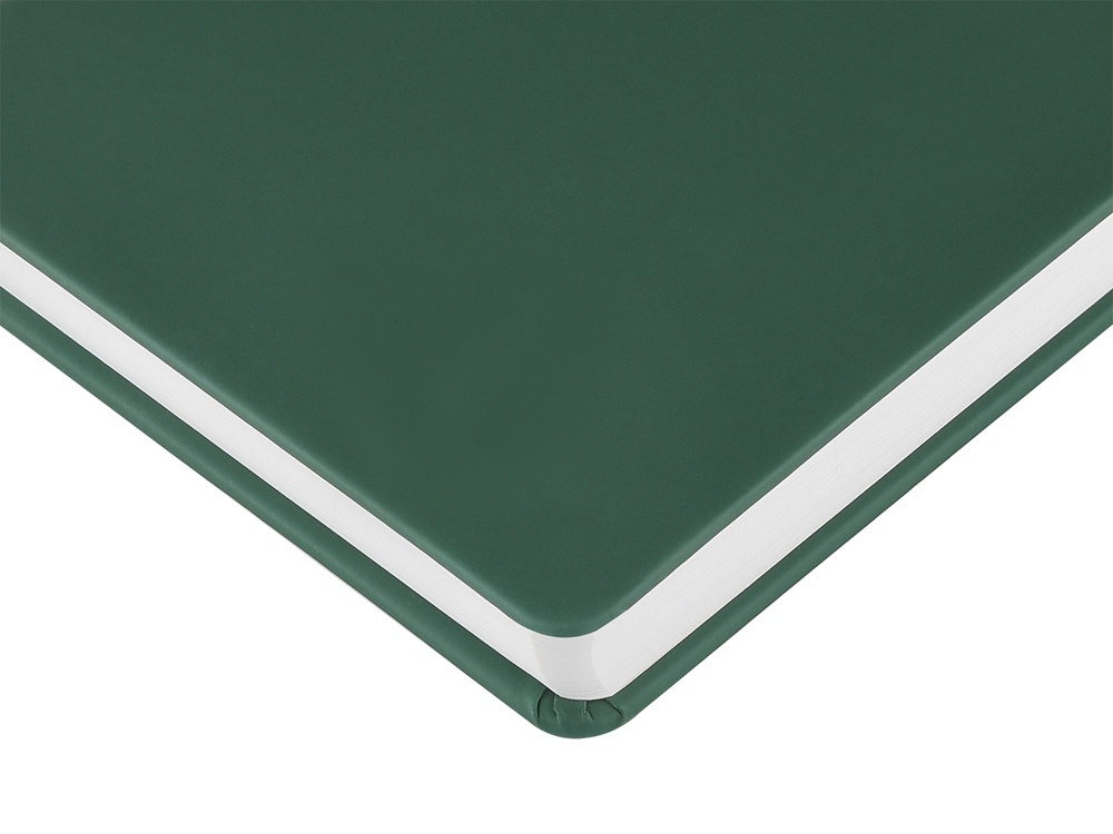 Ежедневник с каменной бумагой недатированный А5 Carrara