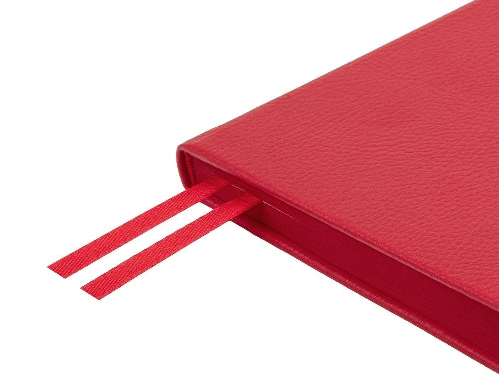 Ежедневник недатированный А5 Megapolis Nappa