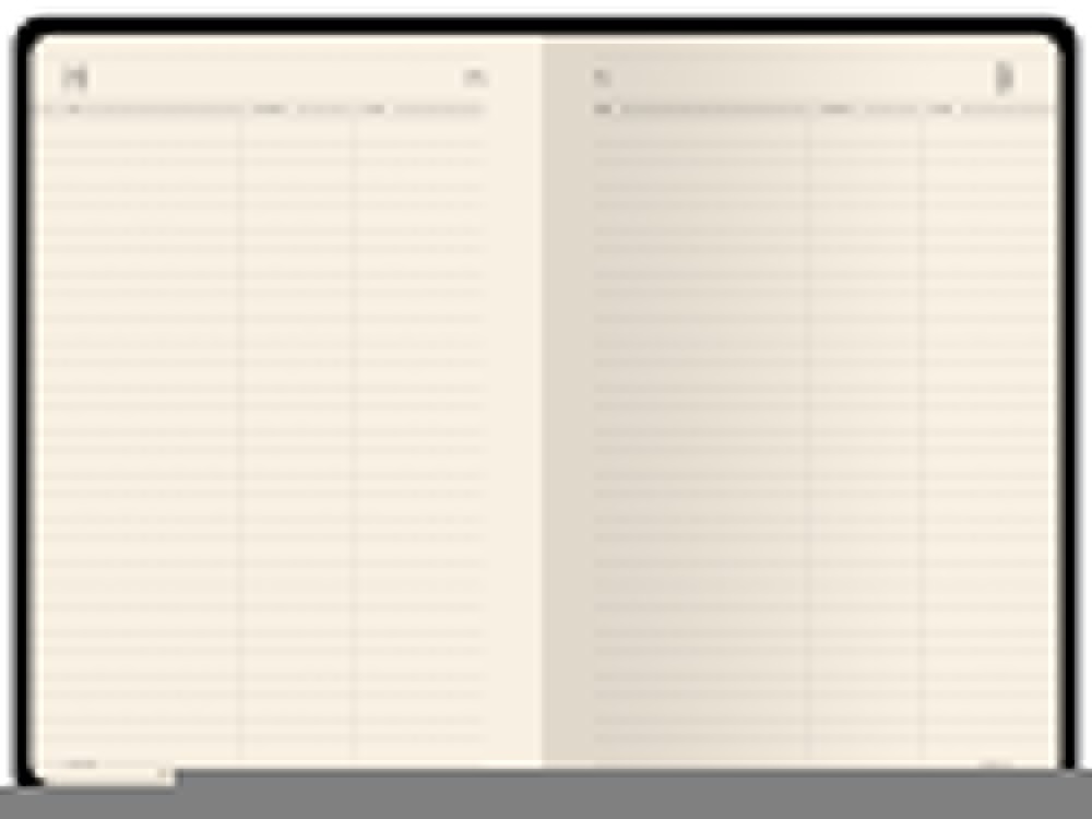 Ежедневник недатированный А5 Megapolis Velvet Flex