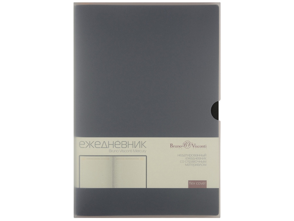 Ежедневник недатированный А5 Mercury