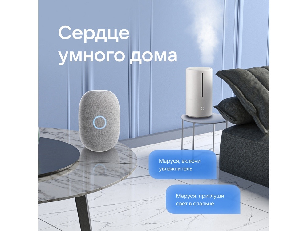 Умная колонка VK Капсула с голосовым помощником Марусей, 30 Вт