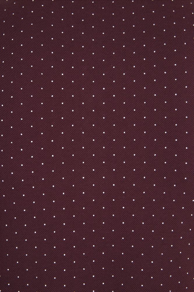 Рубашка поло мужская Brandy Men