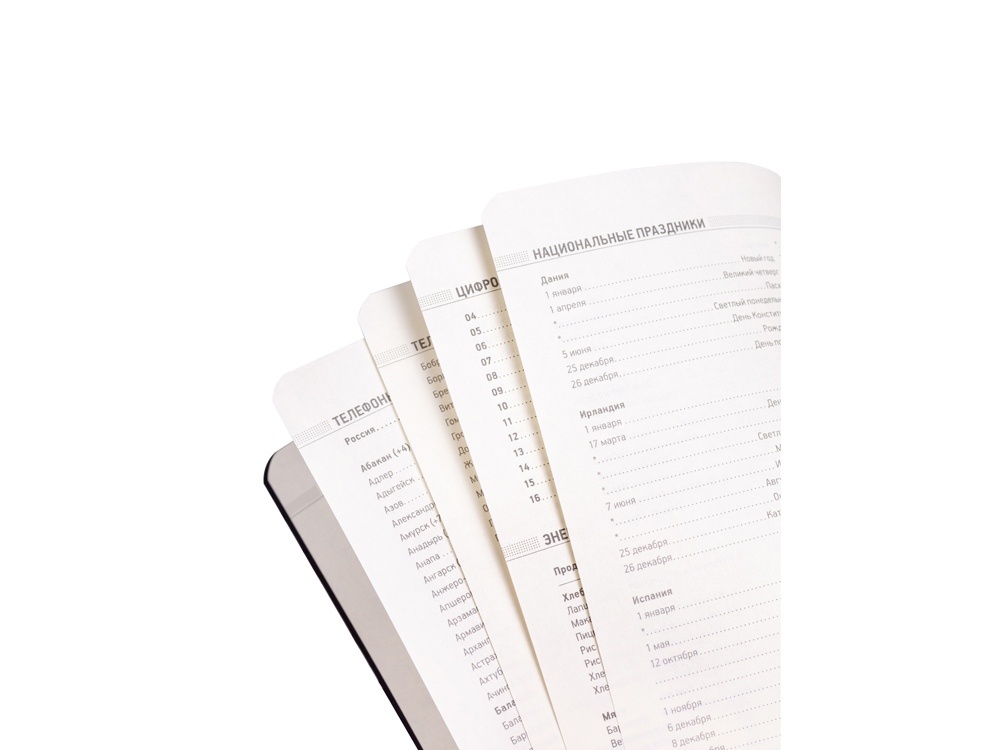 Ежедневник недатированный А5 Megapolis Velvet Flex