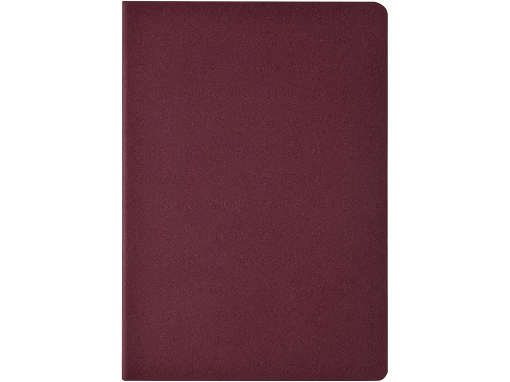 Бизнес тетрадь А5 Pragmatic