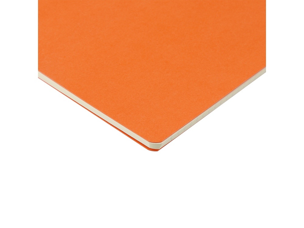 Бизнес-тетрадь А4 Pragmatic