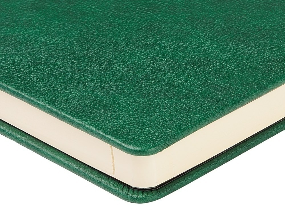 Ежедневник недатированный А5 Premier