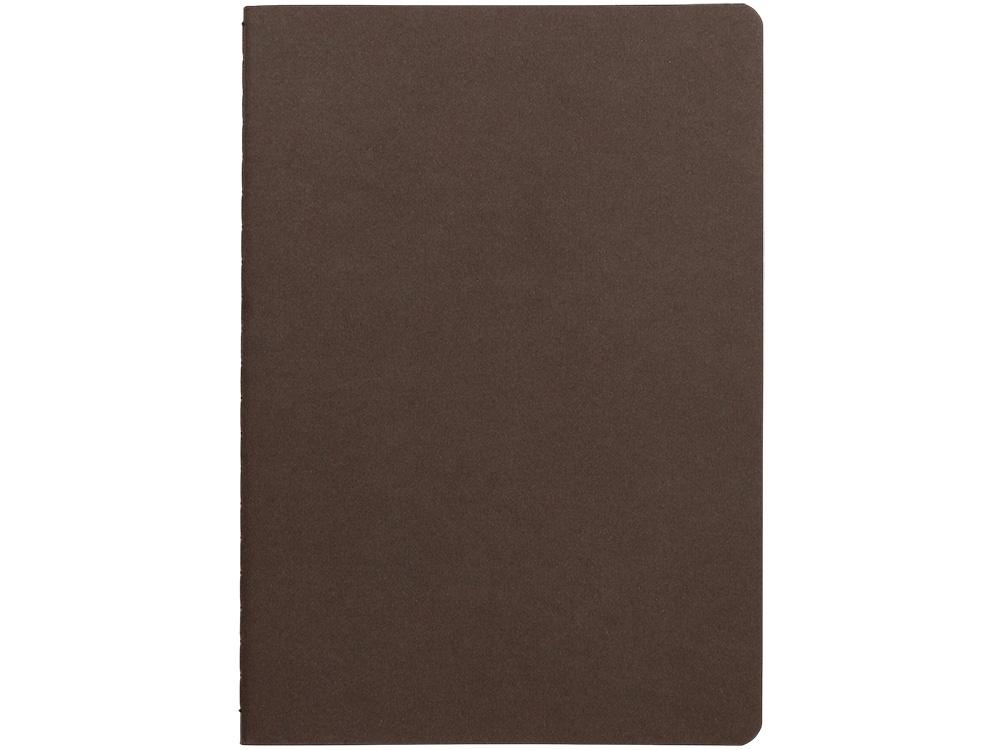 Бизнес тетрадь А5 Pragmatic